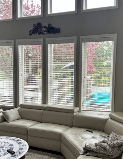 modern windows doors Denver